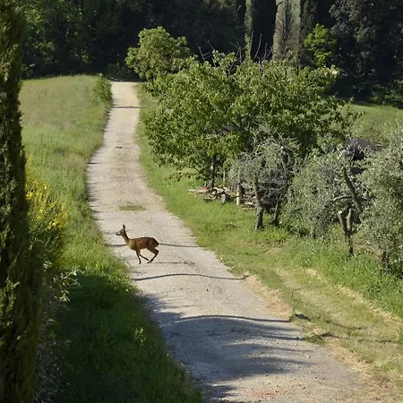 Farm stay La Prodaia