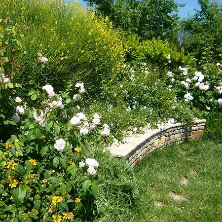 Agriturismo La Prodaia Feriegård